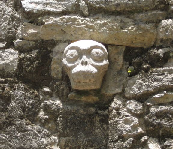 Teschio_Maia